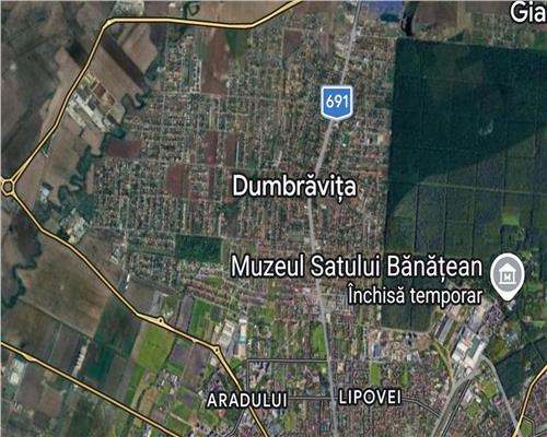 Vila, Dumbravita, Central